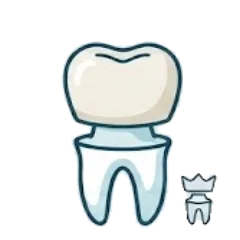 Dental Crowns