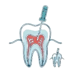 Endodontics